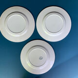 Flat plates in Iron earth manufacture Salins model Garland