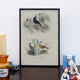 Lithography engraving vintage exotic birds