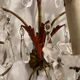 Florentine Tole Crystal Sconces Set of 2 1950’s