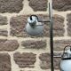 Vintage floor lamp