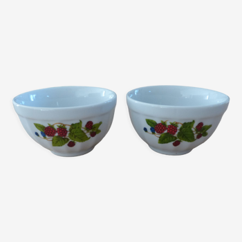 Vintage pair of Afibel bowls