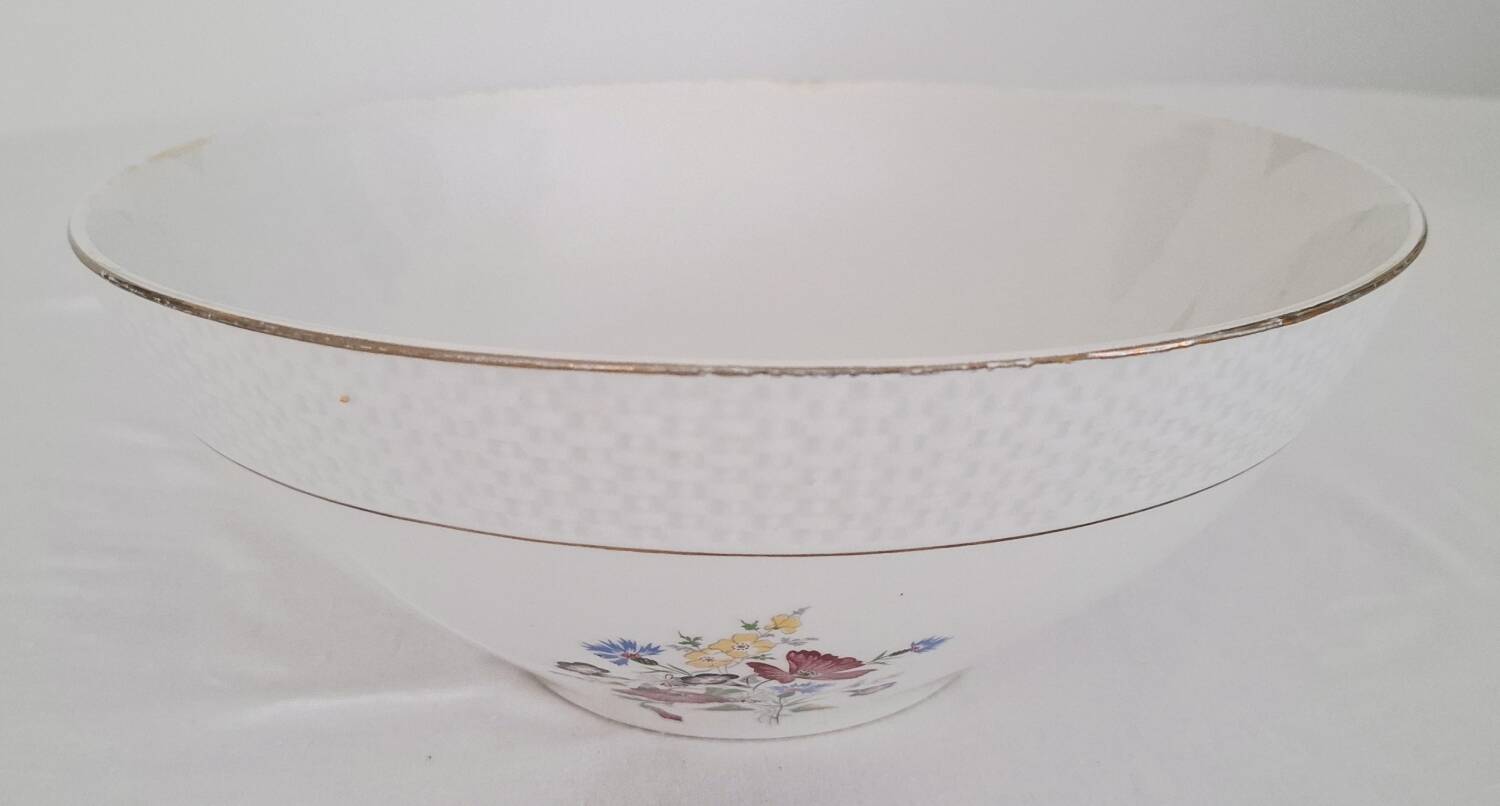 Antique Opaque Porcelain Dinner Service Digoin and Sarregue