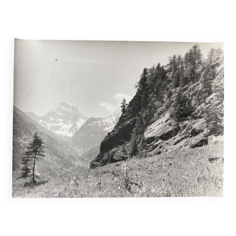 Photo argentique Bernard Darot XXe, "Printemps"