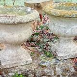 Pair of Medici vases in reconstituted stone