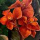Contemporary Still Life With Red Flowers