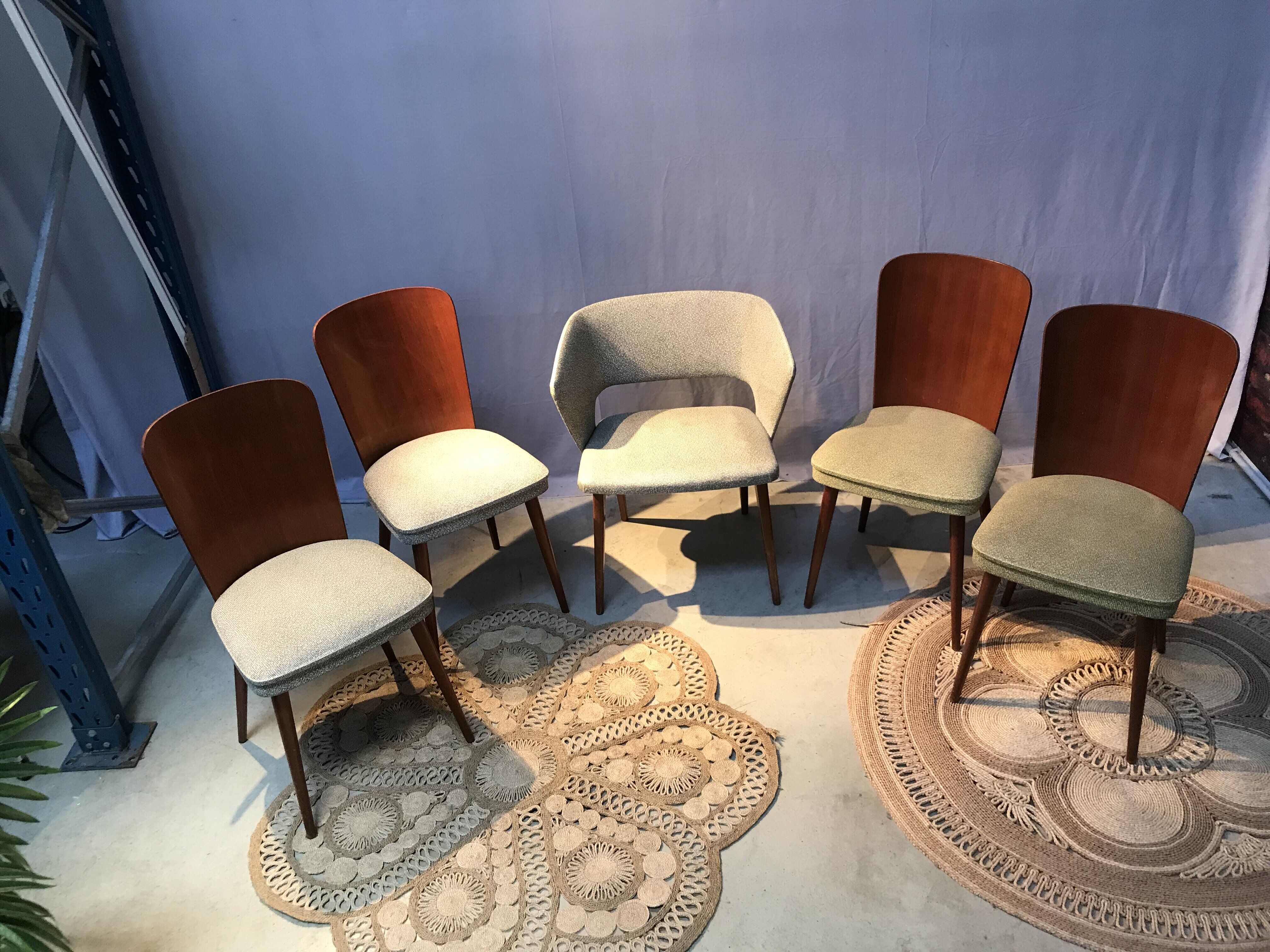 Set of 4 chairs and 1 armchair design 50s