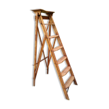Library ladder