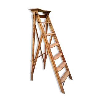 Library ladder