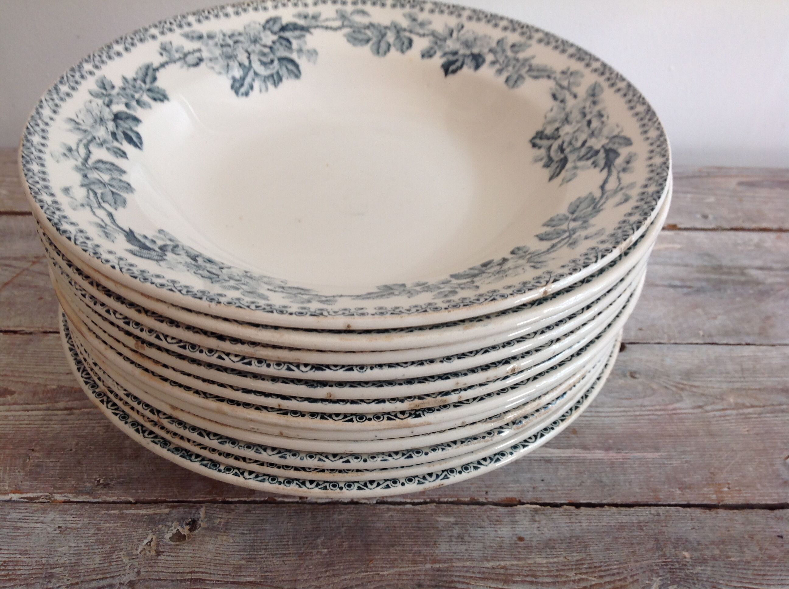Set of 12 deep terre de fer plates
