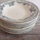 Set of 12 deep terre de fer plates