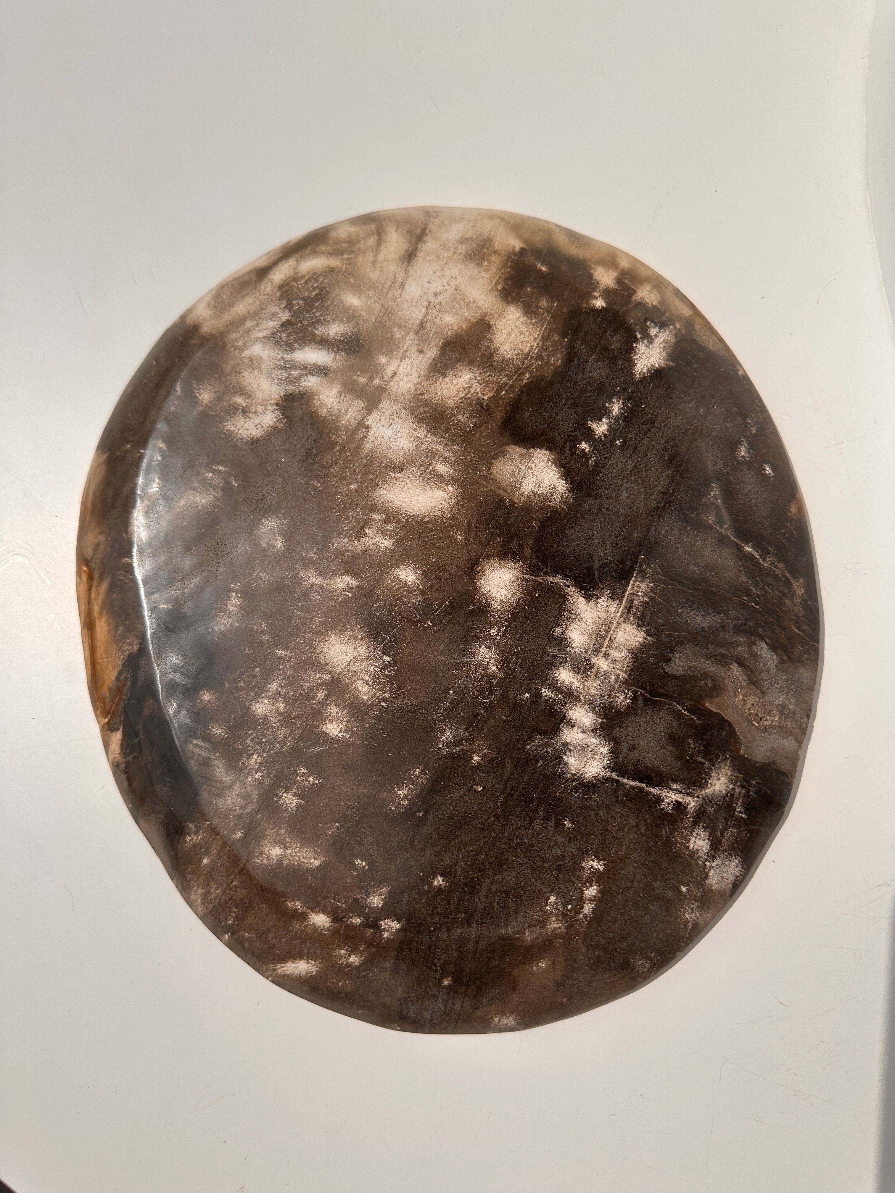 Dish in petrified wood