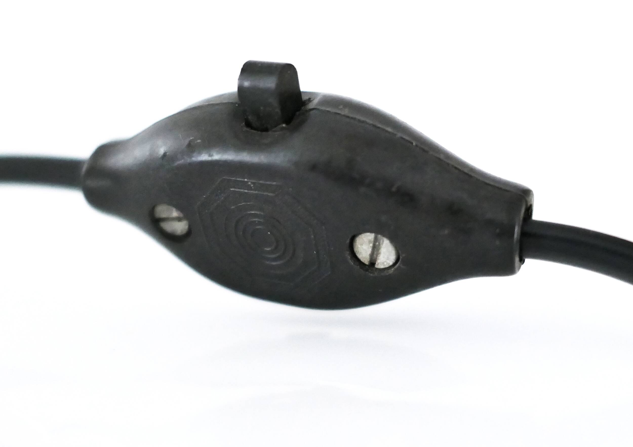 Wrought iron lamp and Perspex lampshade with herbarium decor