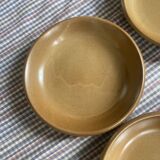 8 vintage hollow plates in Bern stoneware