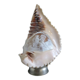 Cameo seashell night light with mythological decor