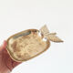 Vintage brass apple trinket bowl