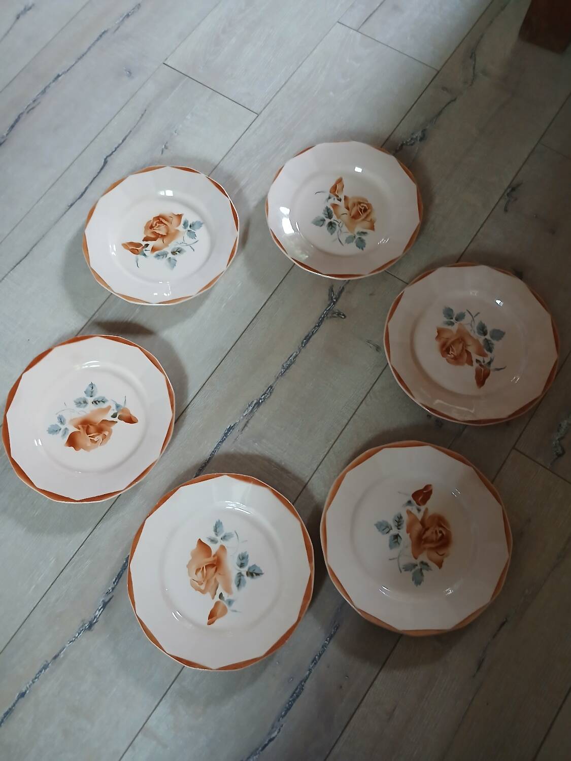 6 old Digoin and Sarreguemines dinner plates
