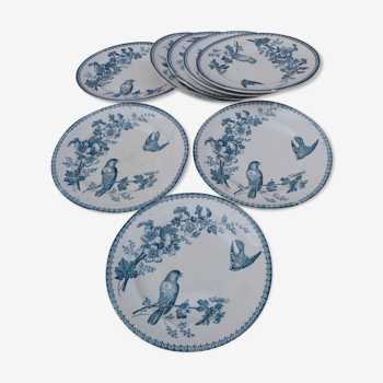 Ensemble de 8 assiettes plates Longwy service Mésanges