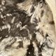 Very large empty pocket or dish in petrified wood