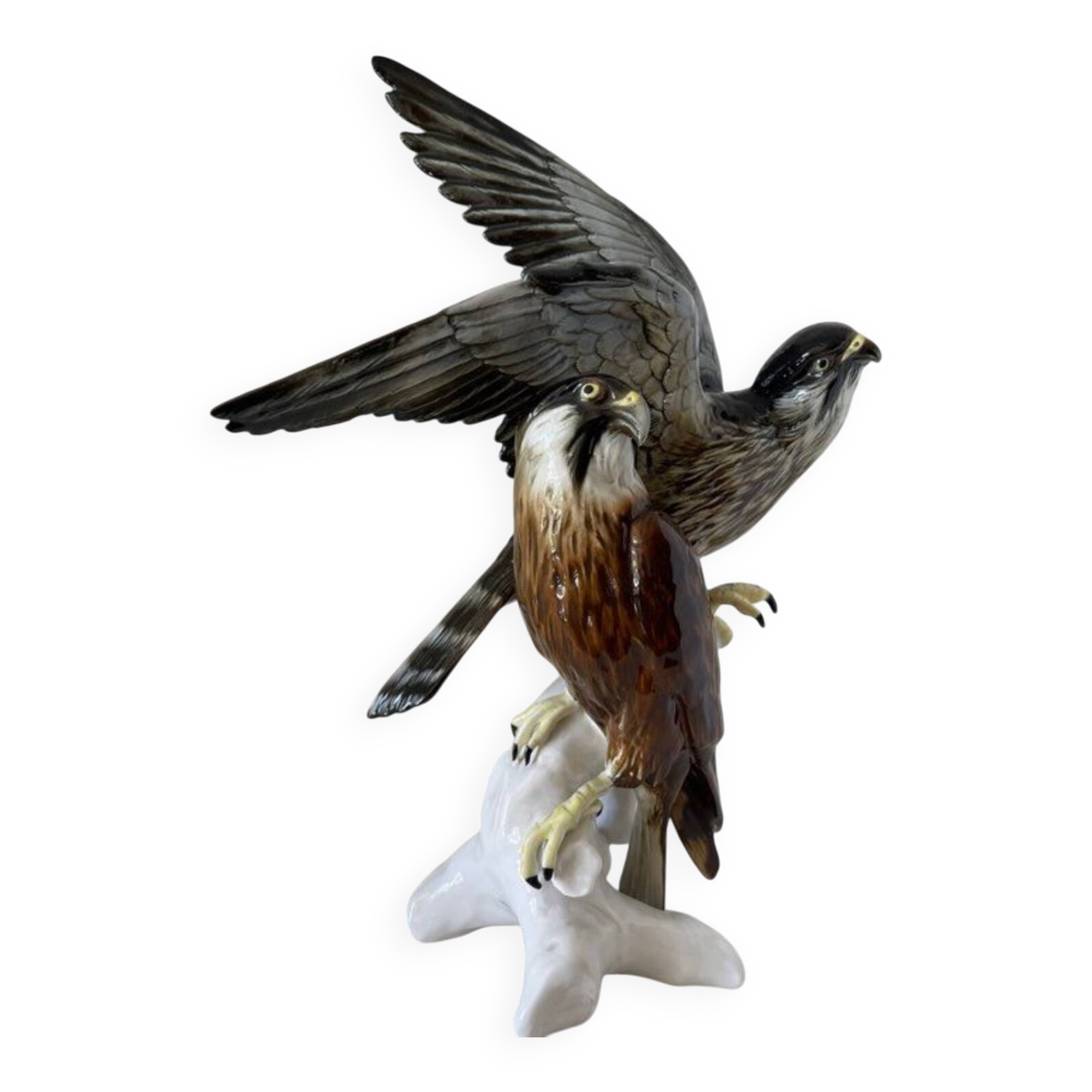 Pair of falcons, Karl Ens