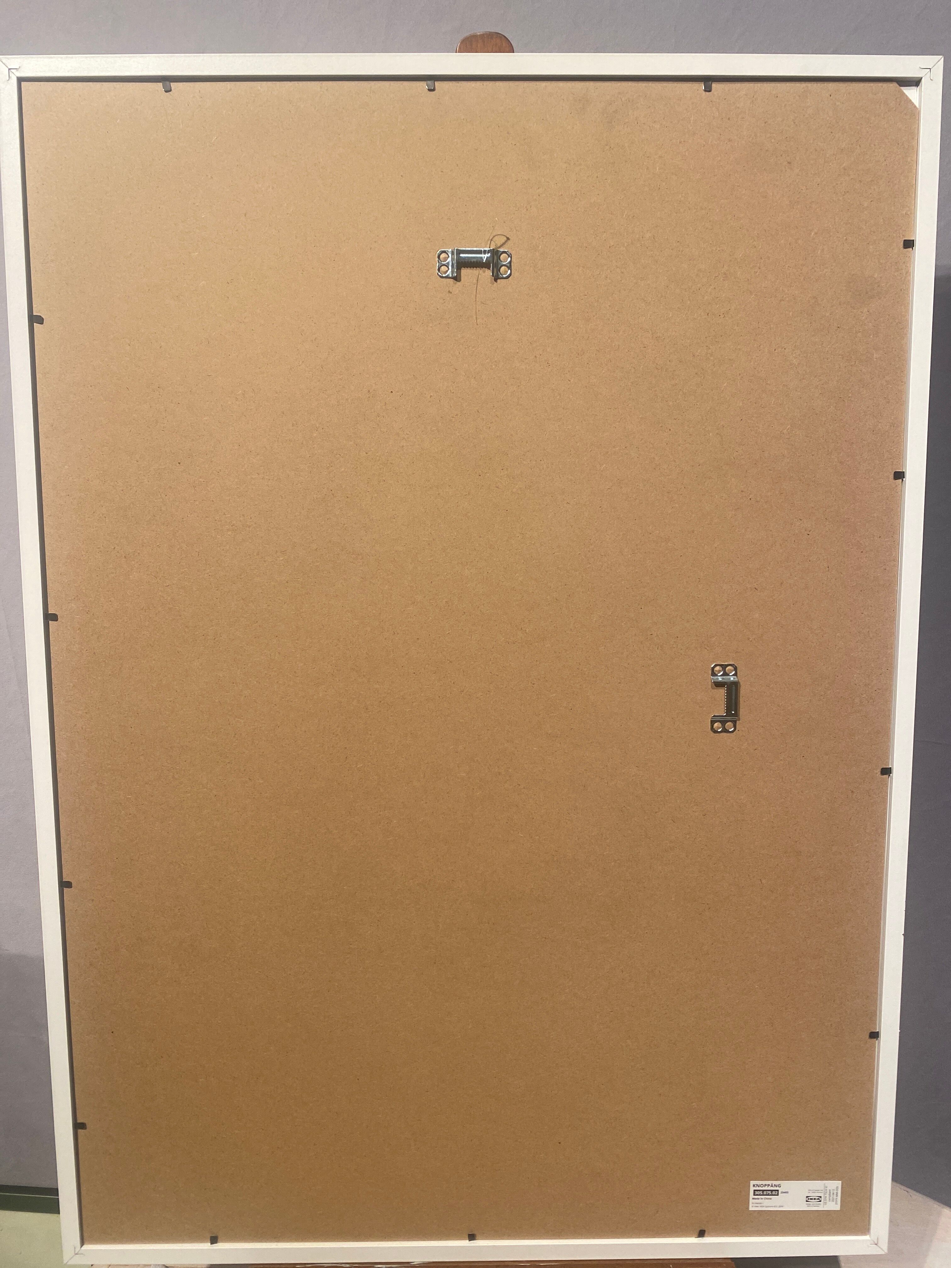 Lithograph of Reims Cathedral