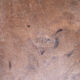 Chair bistrot luterma wood 70s vintage