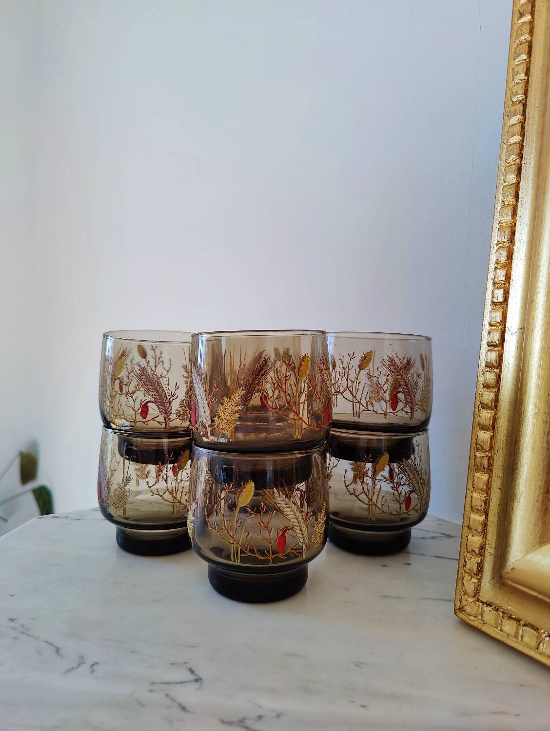 Tivoli Luminarc smoked lenses