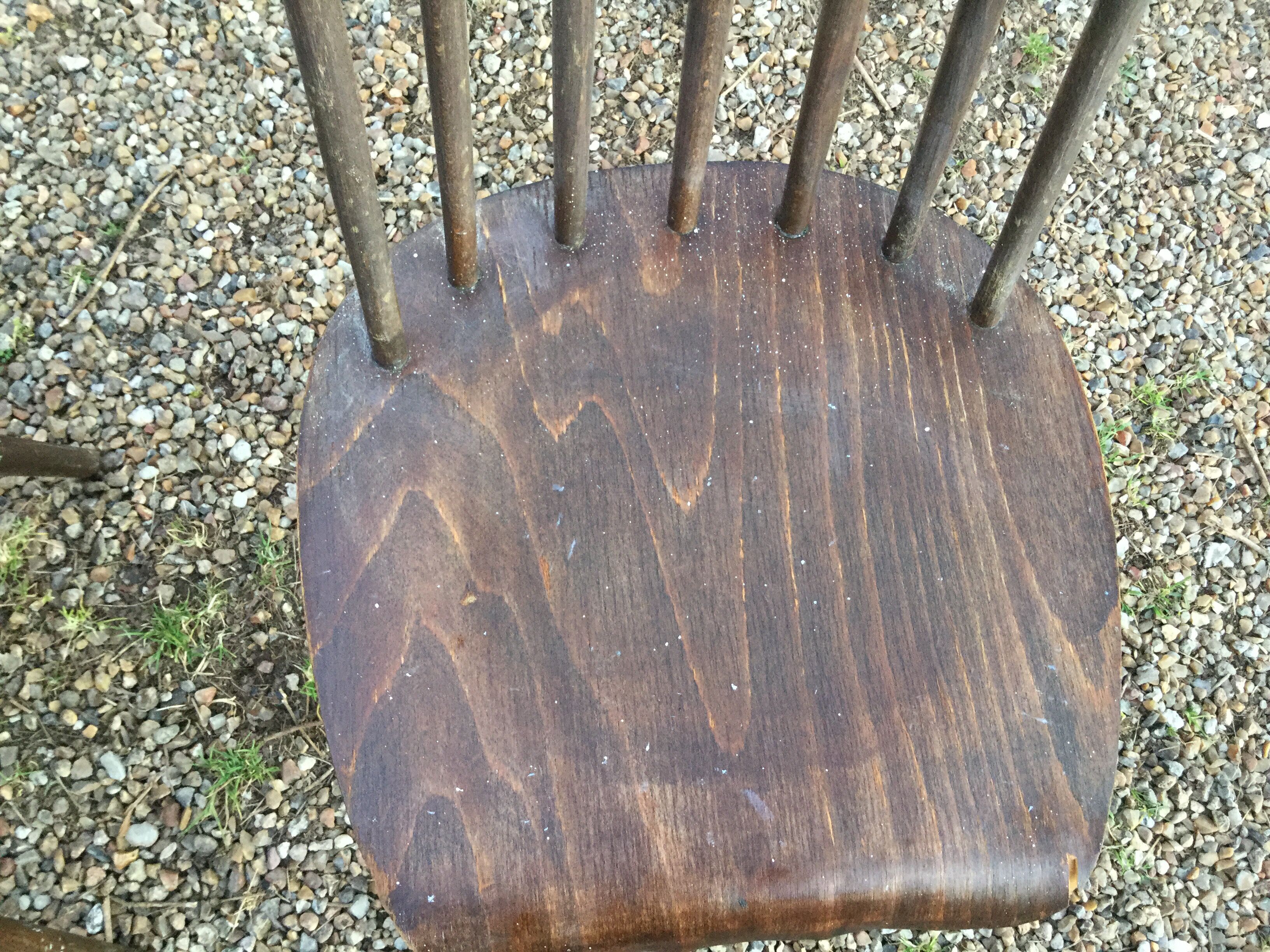 Set of four chairs Tapiovaraa