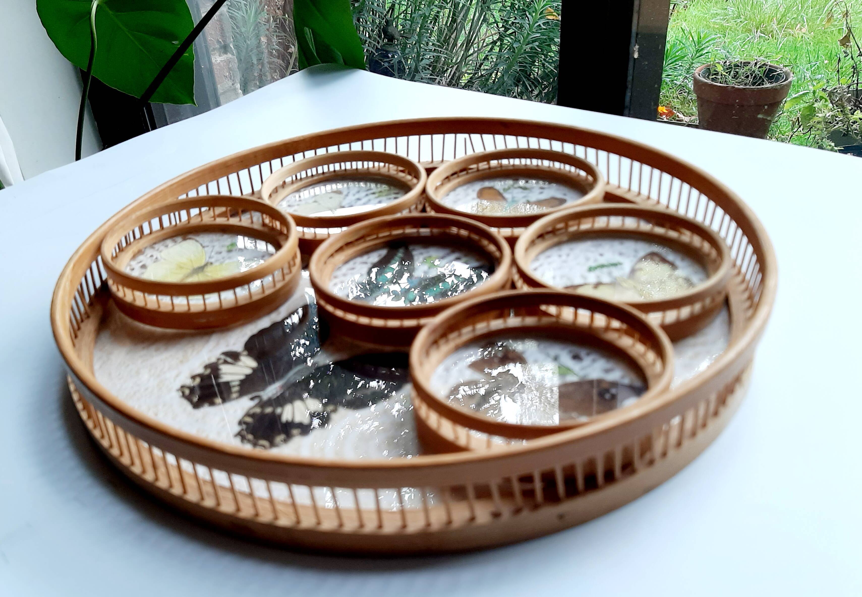 Butterfly tray and 6 coasters