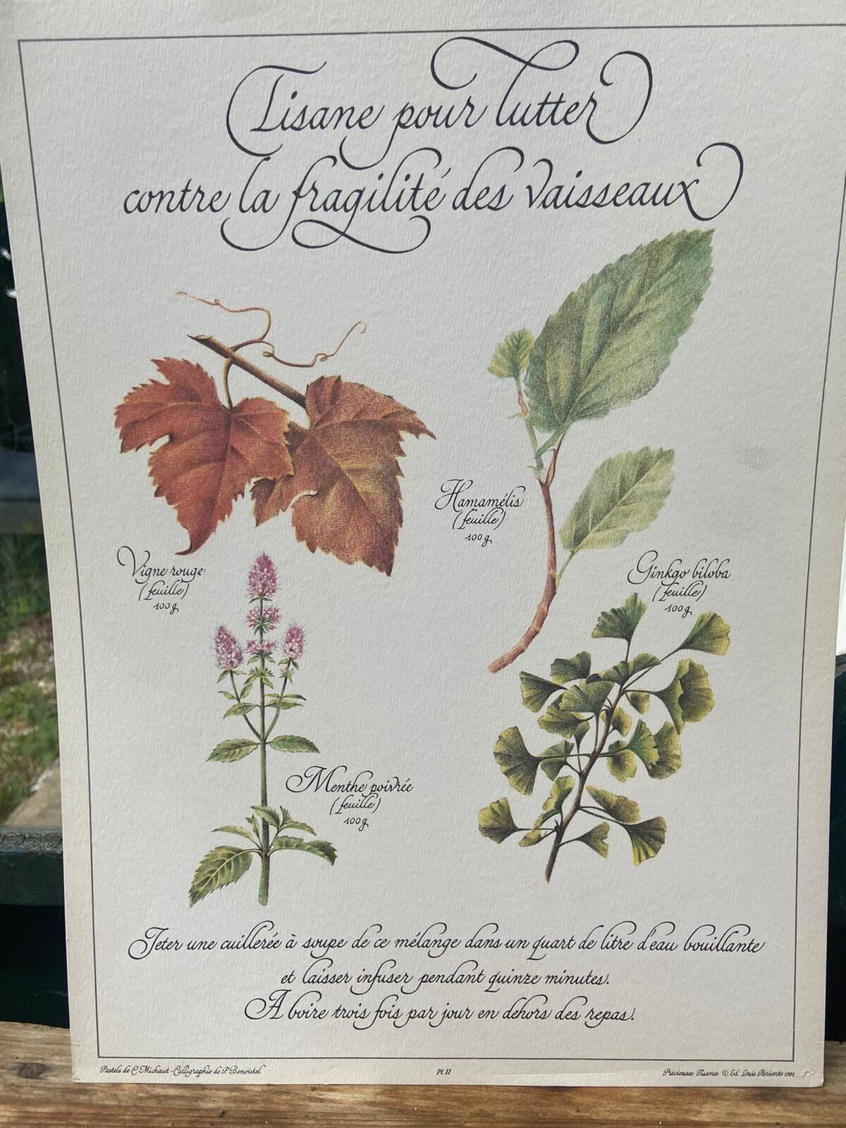 Botanical plank "Tisane to combat the fragility of the vessels"