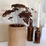 Old terracotta pot Provence XIX th