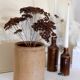 Old terracotta pot Provence XIX th