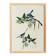 Poster about the blue warbler, based on an old engraving from 1827.