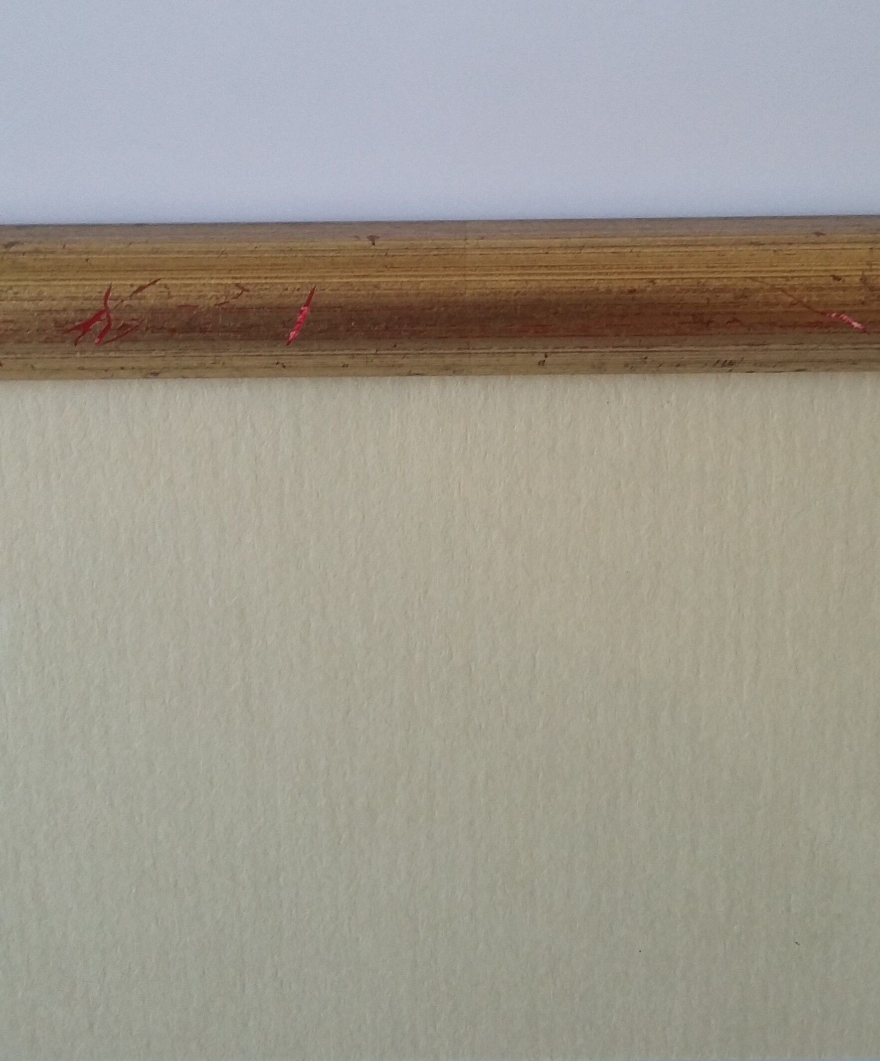 Golden framed bird cockatoo