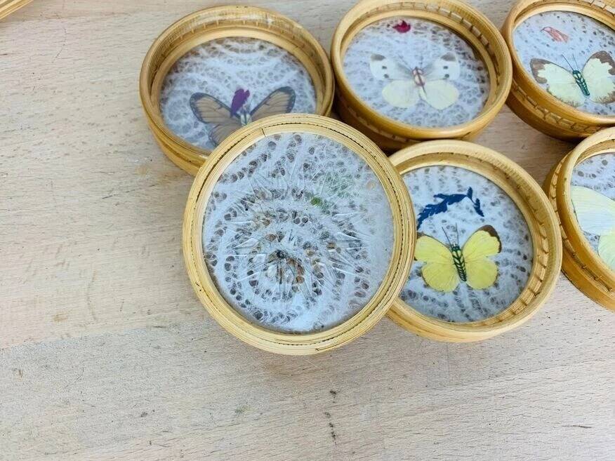 6 rattan coasters, butterflies, with basket