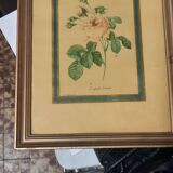 Pink botanical board