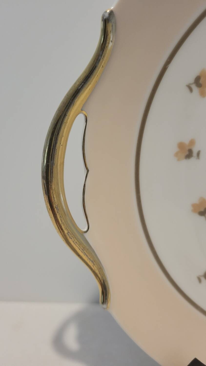 Limoges porcelain dish