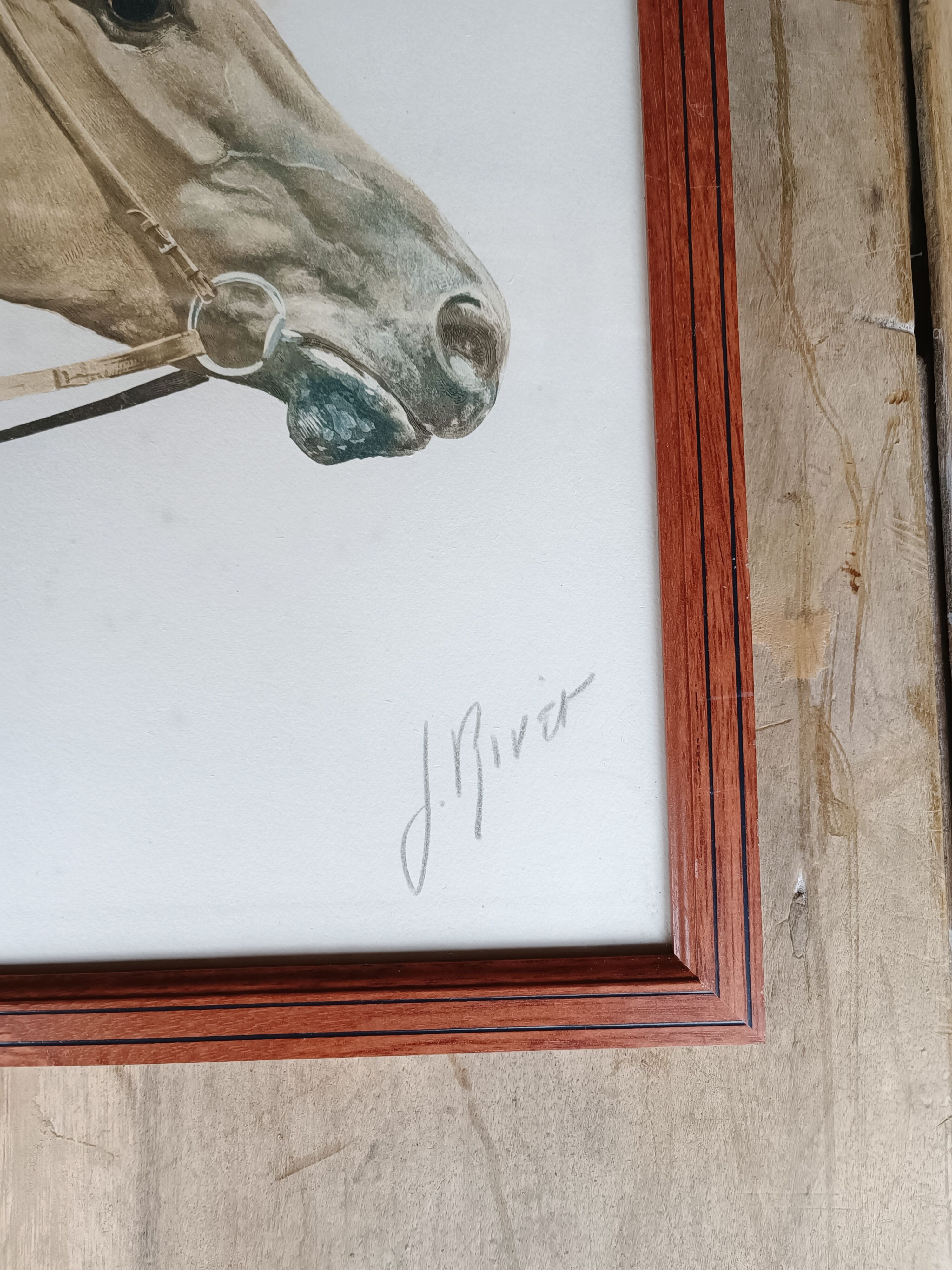 Lithographie cheval J.Rivet