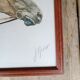 Lithographie cheval J.Rivet