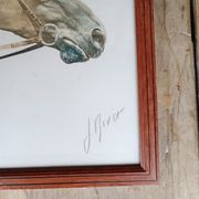 Lithograph horse J.Rivet