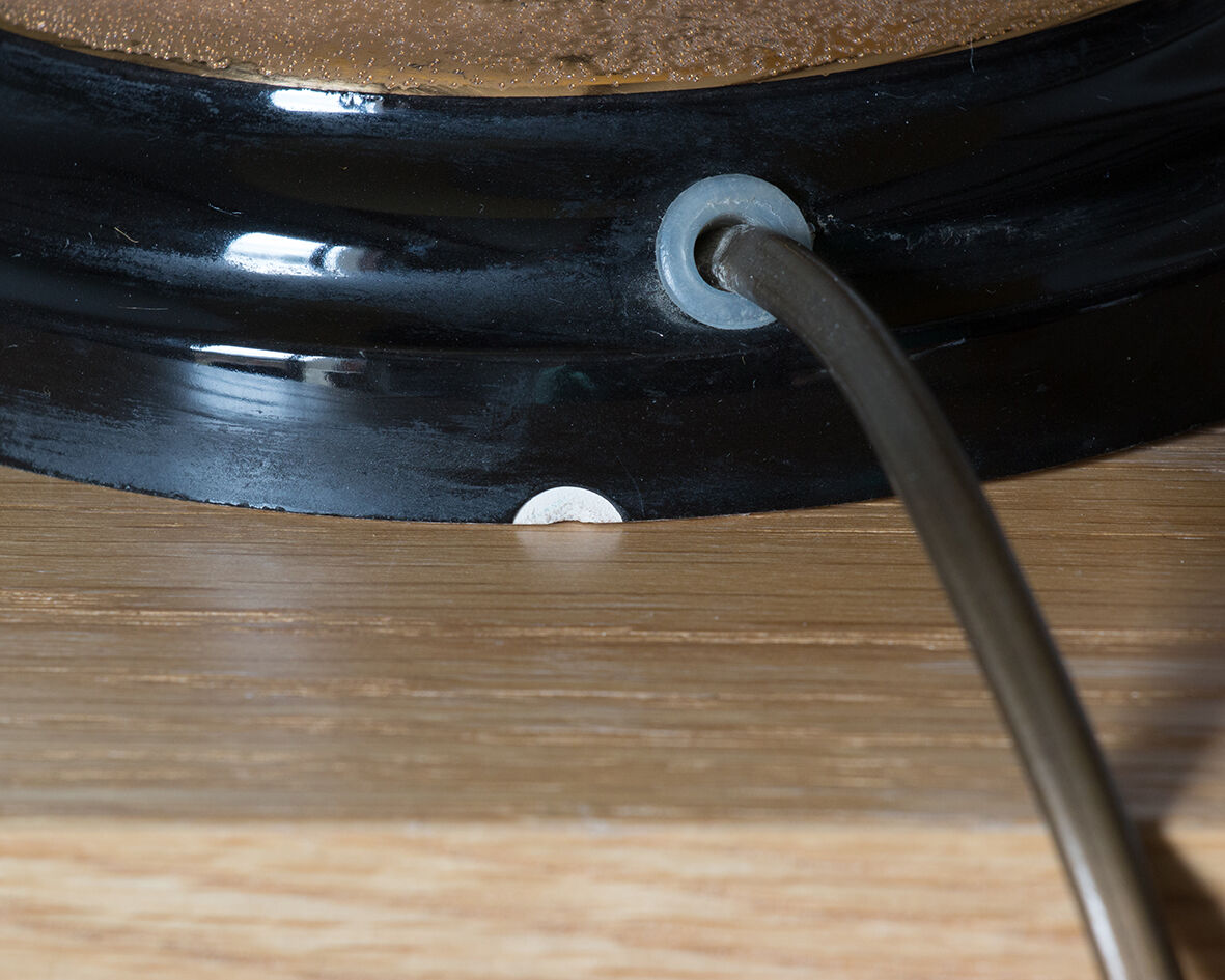 Lamp The Black dolphin