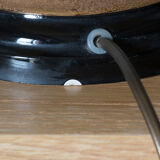 Lamp The Black dolphin