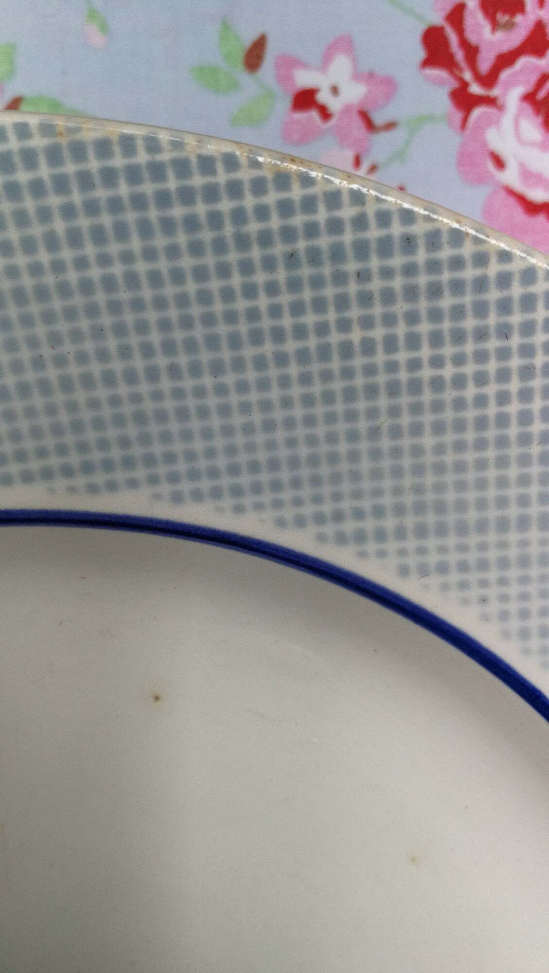 Large Plat Rond Former Digoin Sarreguemines Liseré Bleu Vichy Vintage