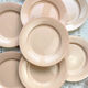 7 Flat plates Rose Digoin Sarreguemines