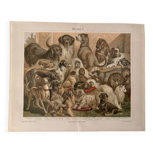 Ancienne gravure en couleurs