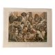 Old colour engraving of dogs – 1890