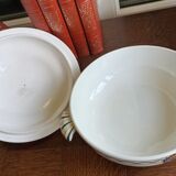 Old vegetable tree in iron earth by Saint-Amand