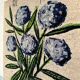 Tapestry Hortensias Bernard Buffet 70s