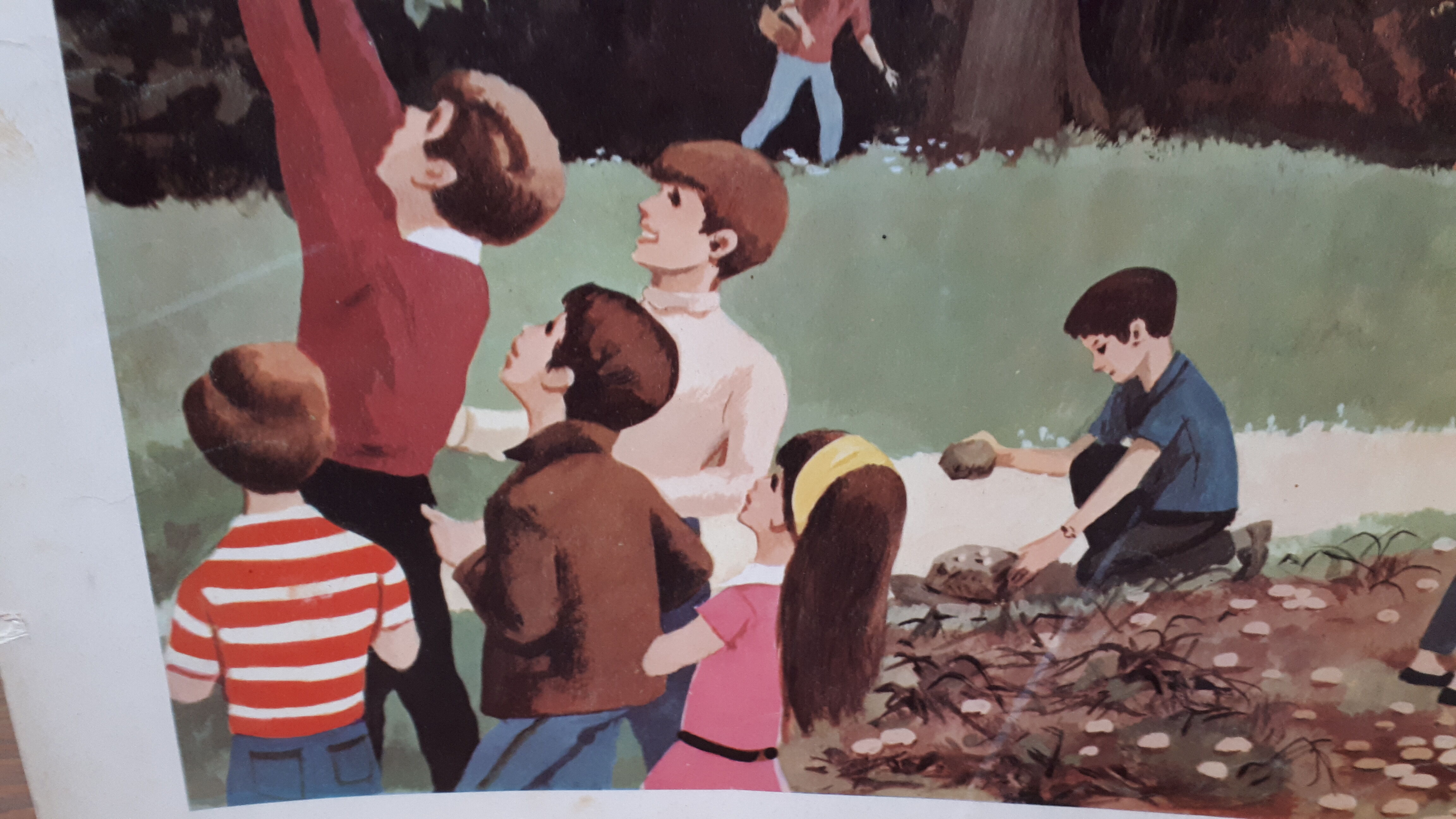 Map displays school lesson fall vintage 1967