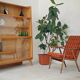 Bookcase / Showcase by Frantisek Jirak for Tatra Pravenec 1960