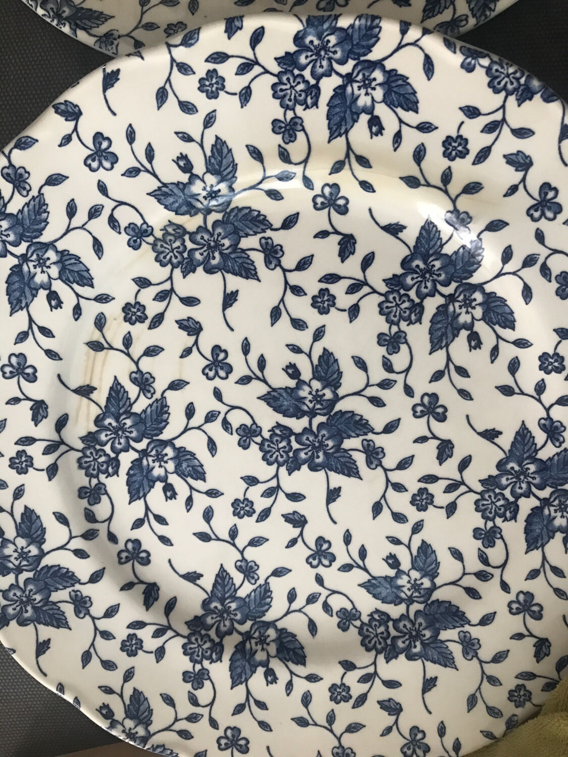 Blue Flower Plates Tudor Royal Grindley